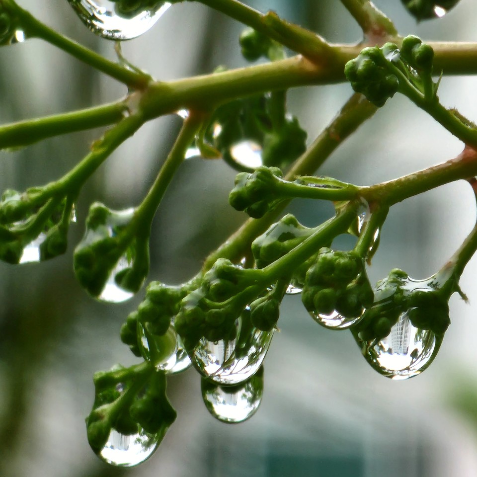 ▲우리 국민도 모두 행복할 수 있다.