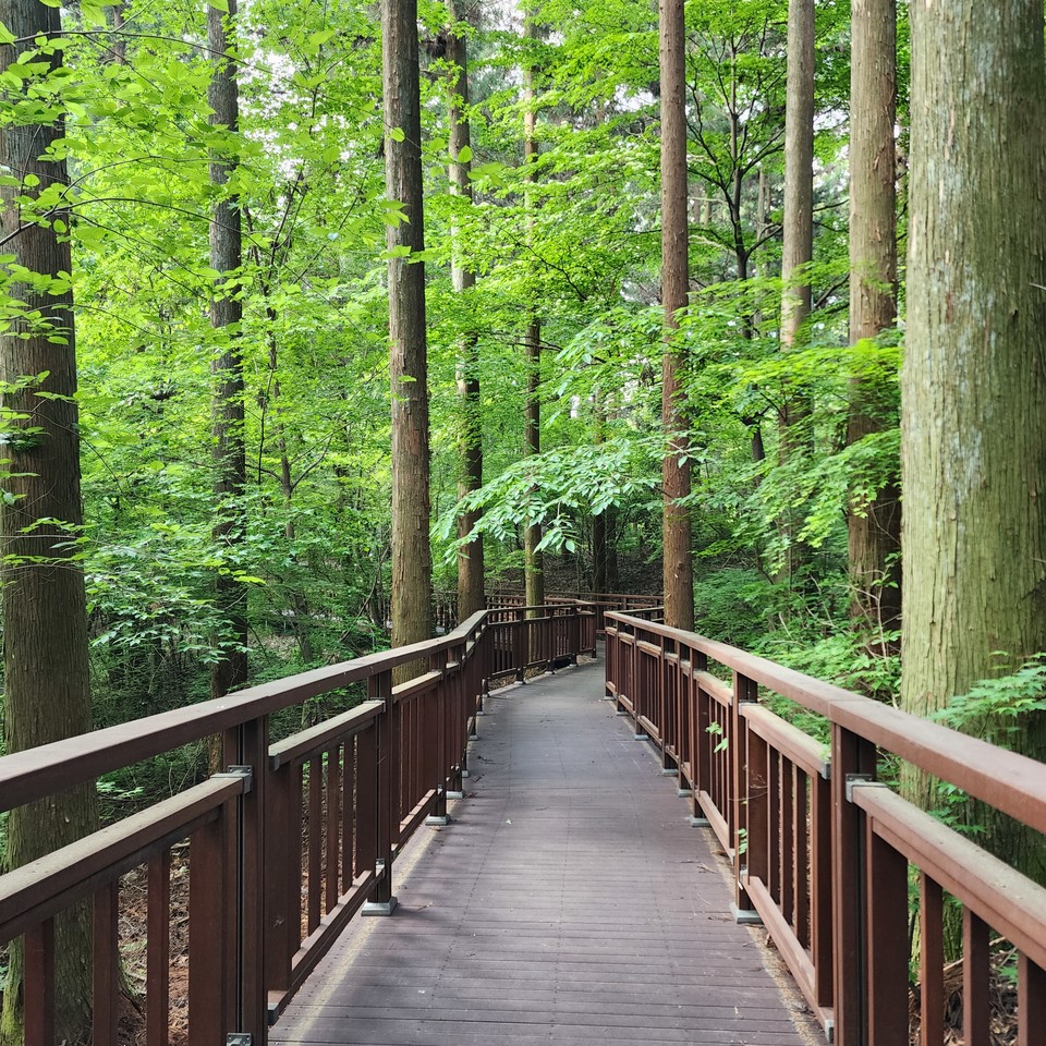 ▲ 행복의 길은 멀리 있지 않다.
