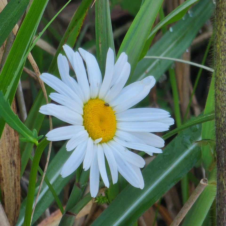 ▲ 나도 행복하고 너도 행복해야만 모두가 행복할 수 있단다.