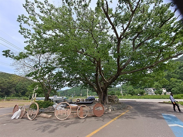 ▲   '화전별곡길' 중간에서 만난 봉화마을 노거수 모습 ⓒ오문수