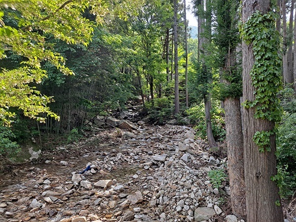 ▲ 화전별곡길을 걷는 동안 만난 계곡 모습으로 섬속 풍경이란 생각이 들지 않았다. ⓒ오문수