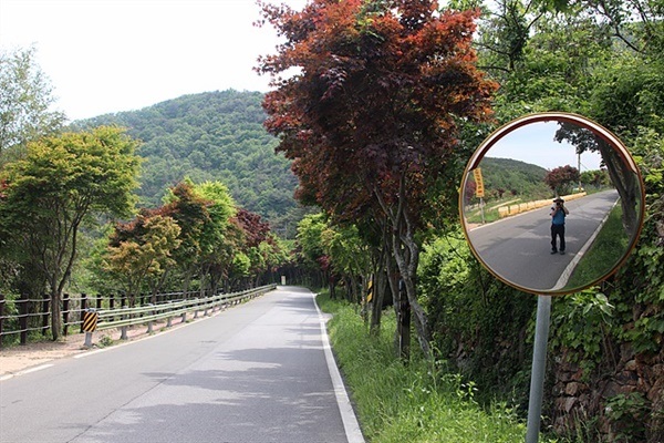 ▲독일마을에서 '내산'길을 따라 혼자 걷는 길은 "섬속에 이렇게 멋진 모습이 숨어있었나?" 하는 감탄의 연속이었다. 초록이 주는 싱그러움과 폐부까지 찌르는 맑은 공기가 주는 멋진 모습에 감탄할 수 밖에 없었다.ⓒ 오문수