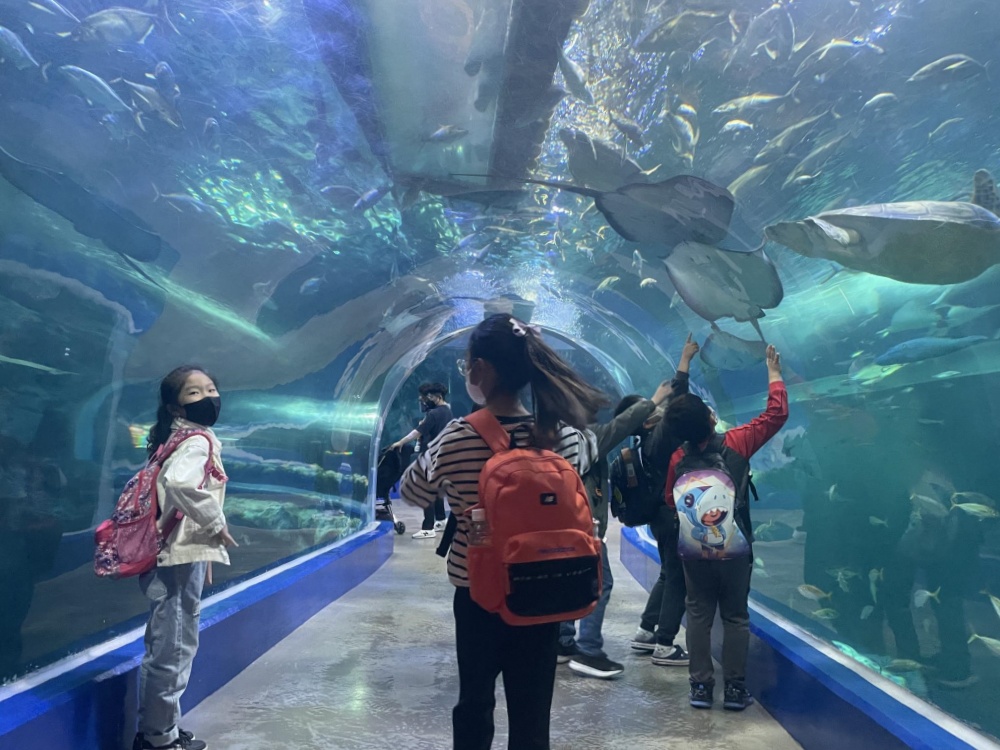 ▲ 청소년해양교육 현장