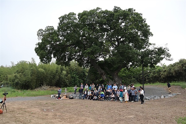 ▲  행사가 끝난 후 600년된 하제마을 팽나무 앞에서 기념촬영한 일행들 ⓒ오문수 