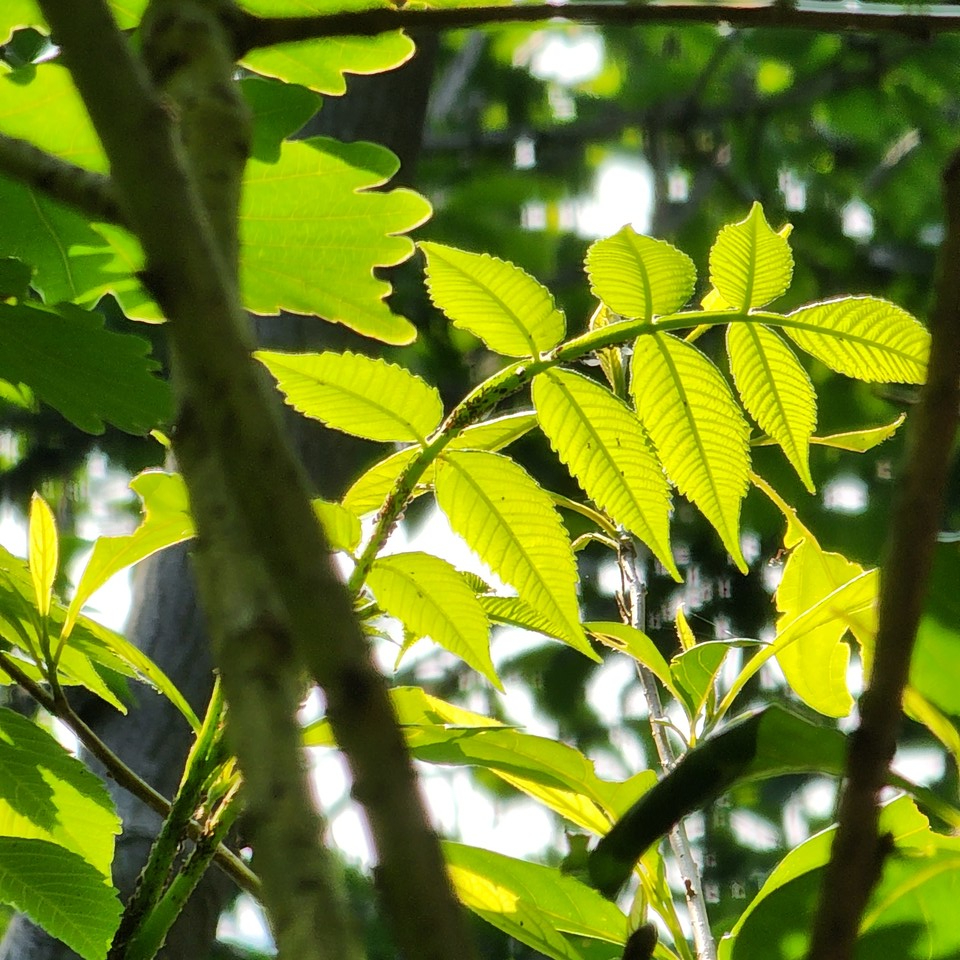 ▲ 각자의 길을 걸어라. 그게 나를 찾는 삶이다.