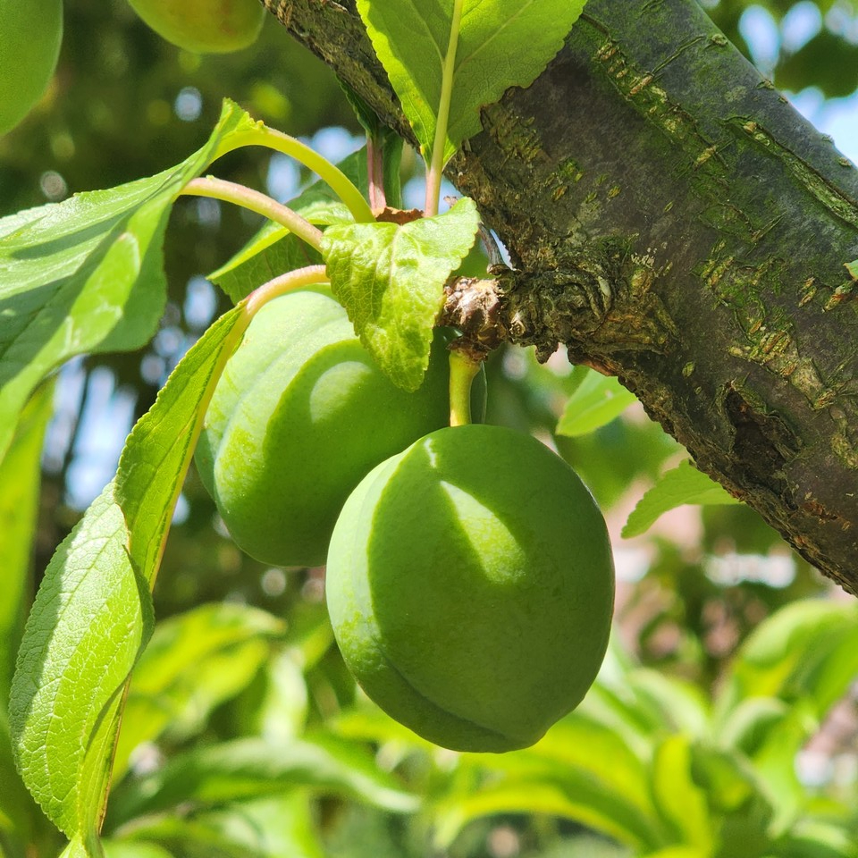 ▲ 나만의 길을 걷는다는 것은 외롭고 고달플 수 있다. 그러나 그 너머에는 성장과 행복이 기다리고 있다.