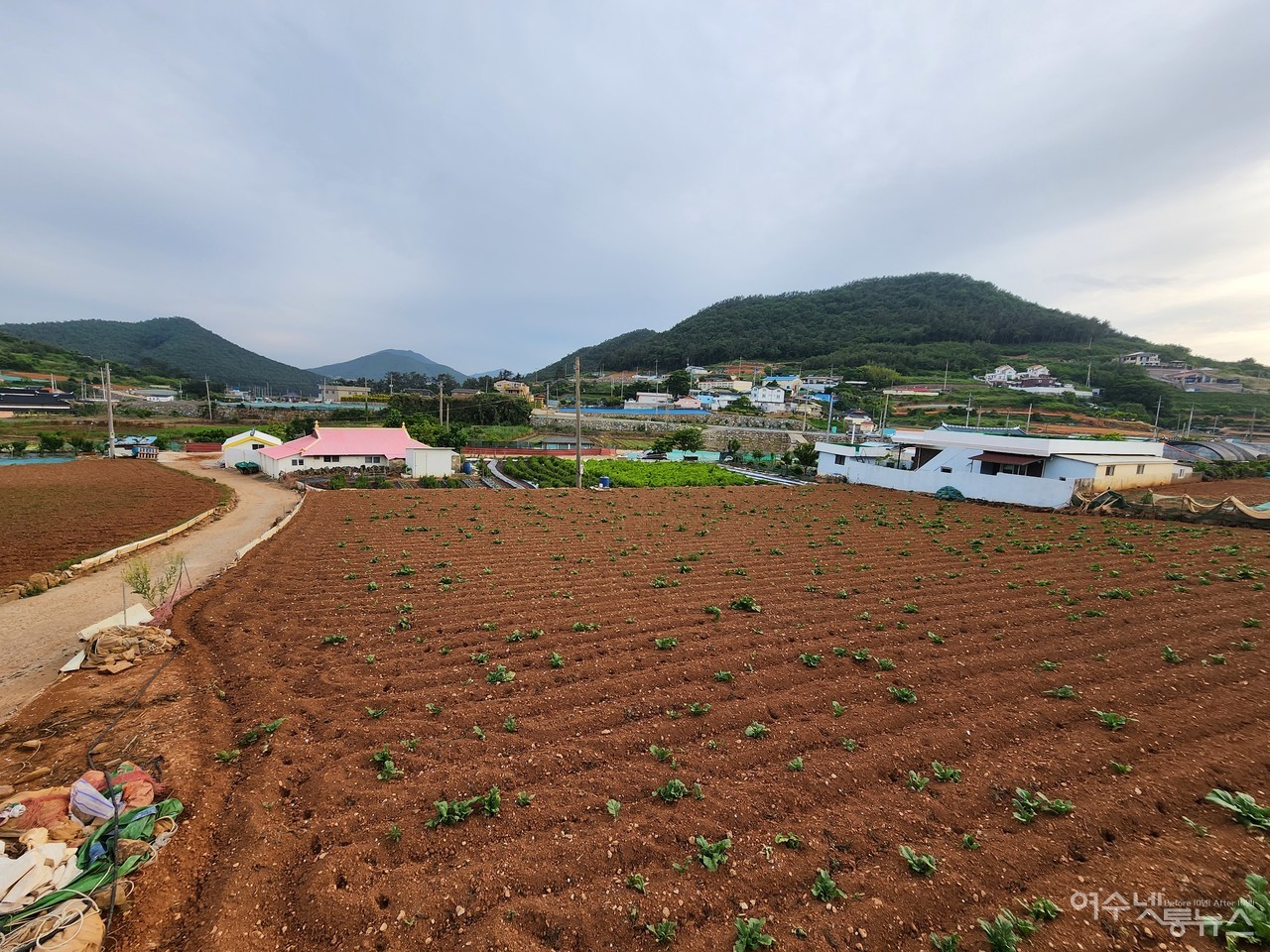 ▲ 땅주인의 동의를 받지 못한 상동마을 무허가 건물이 보인다 ⓒ심명남