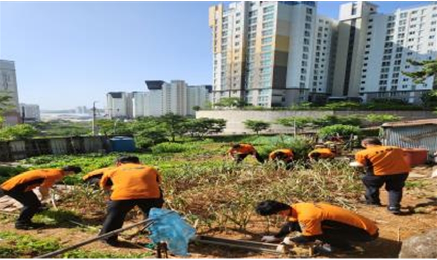 ▲여수소방서 소방정대 농촌일손돕기
