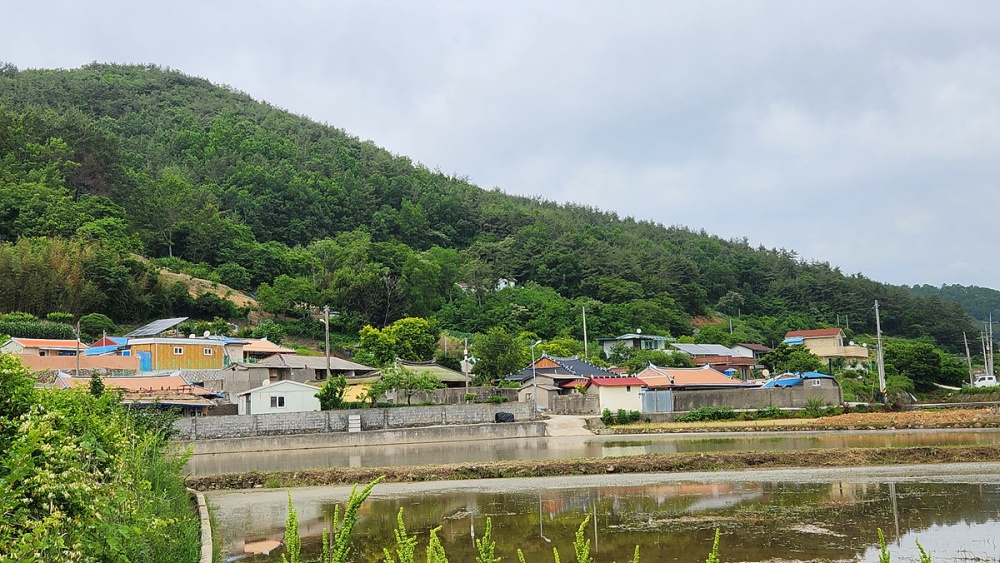 ▲화양면 옥적마을