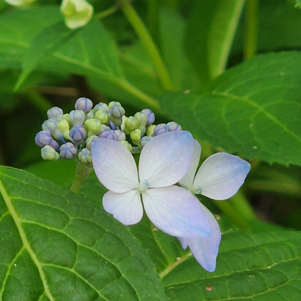 ▲ 삶은 꿈을 꾸는 시간이다.