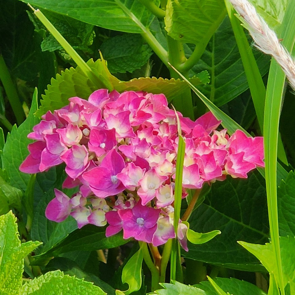 ▲ 태양이 뜨거울수록 나만의 꿈은 완성된다.