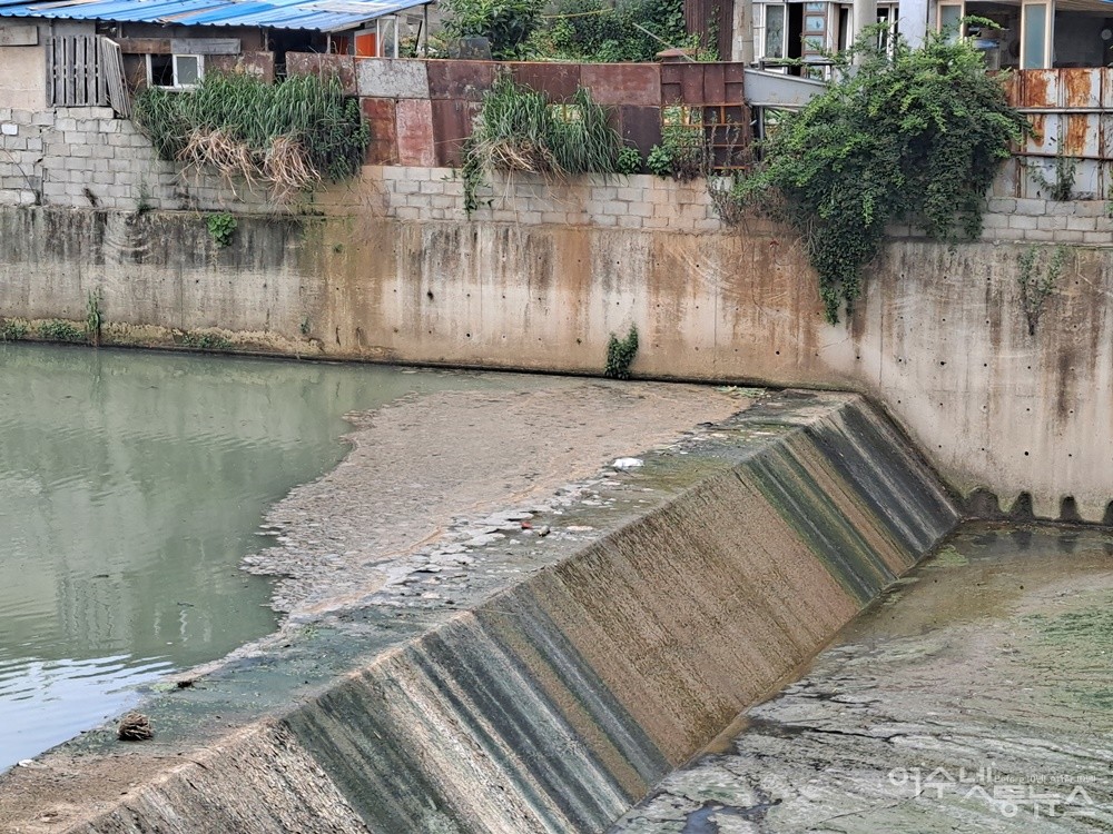 ▲부유물이 가득한 여수 주삼동 군장교 아래 하천. ⓒ조찬현