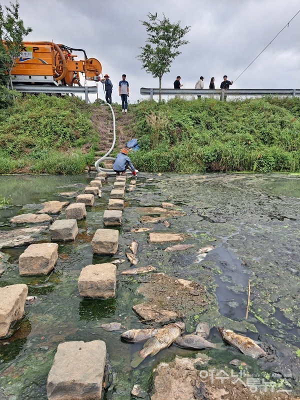 ▲10일 여수시가 현장을 찾아 원인 찾기와 오염원 제거에 나섰다.  ⓒ조찬현