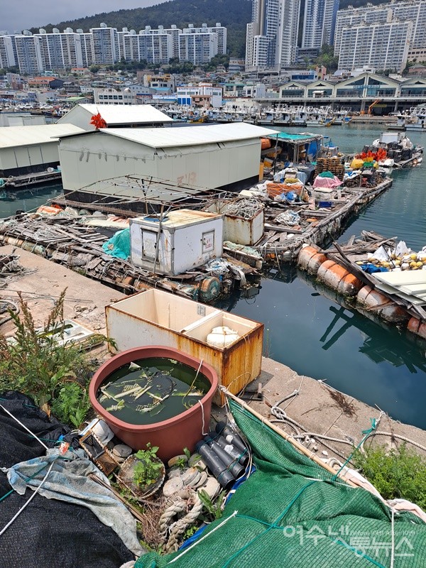 ▲국동항 파제제 앞바다에 바지선과 건축 구조물이 위태롭게 떠 있다. ⓒ조찬현