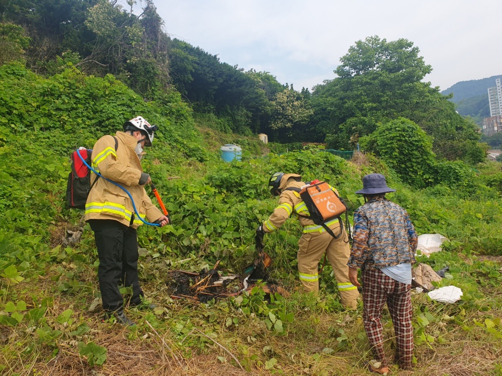 ▲ 덕충동 야산 불법소각 현장