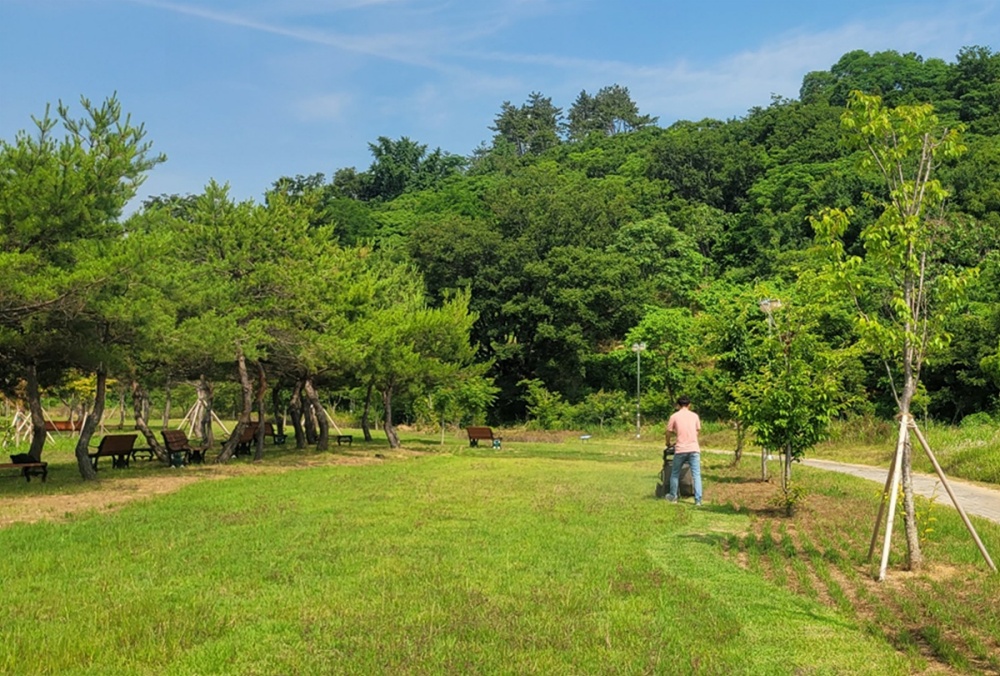 ▲ 잔디작업 모습