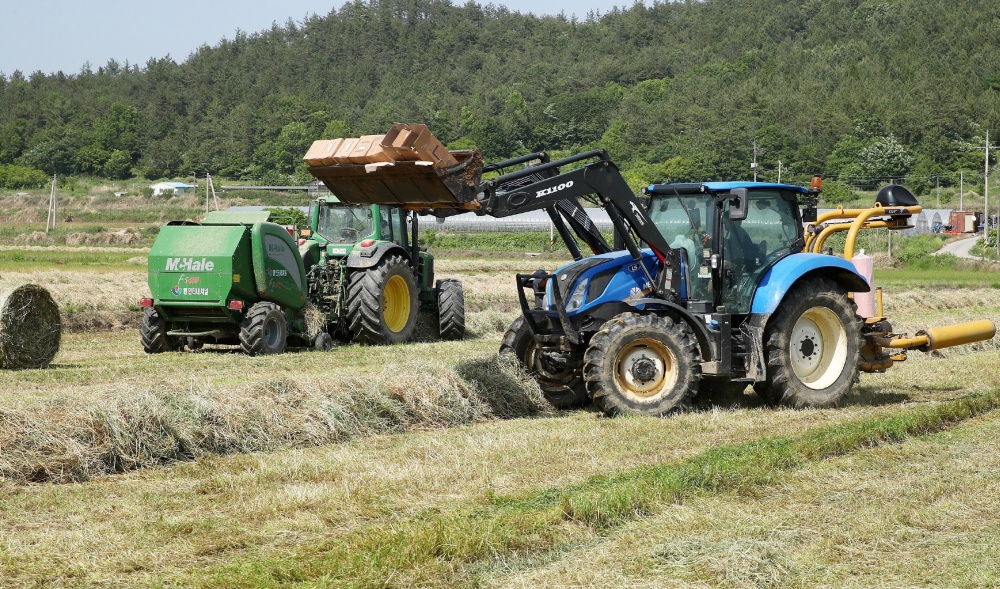 ▲ 조사료 수확 현장 