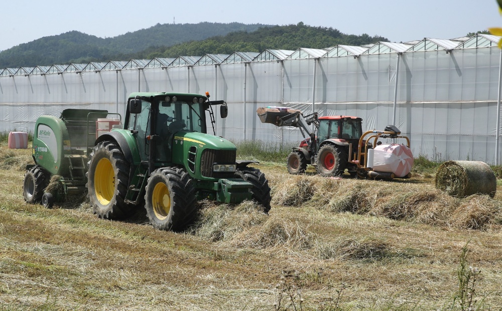 ▲ 동계조사료 수확 현장