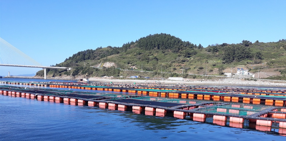 ▲ 친환경 부표