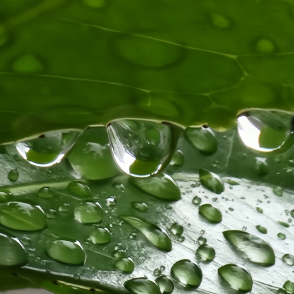 ▲ 국민의 행복지수를 높일 수 있다.