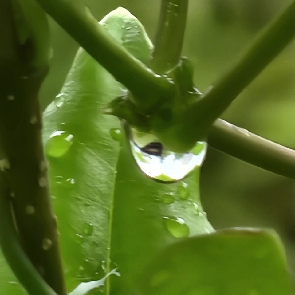 ▲ 사회적 직업불평등지수를 낮출 수 있을까?