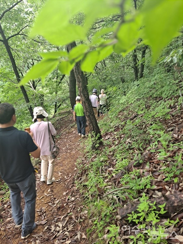 ▲걷다 보면 힐링이 저절로 되는 치유의 숲길이다. ⓒ조찬현