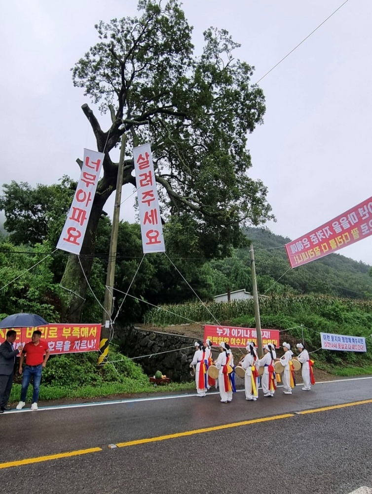 ▲ 화양면 노거수를 보호하기 위해 모인 사람들