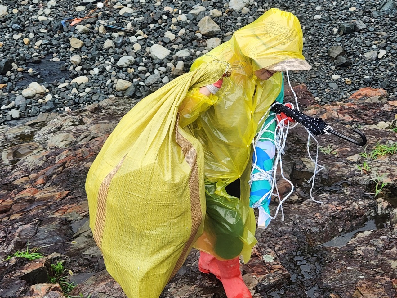 ▲ 돌산 해안가 청결활동 모습