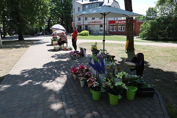 ▲   '시굴다' 마을 공터에는 할머니들이 직접 만든 예쁜 꽃바구니를 팔고 있었다.ⓒ 오문수