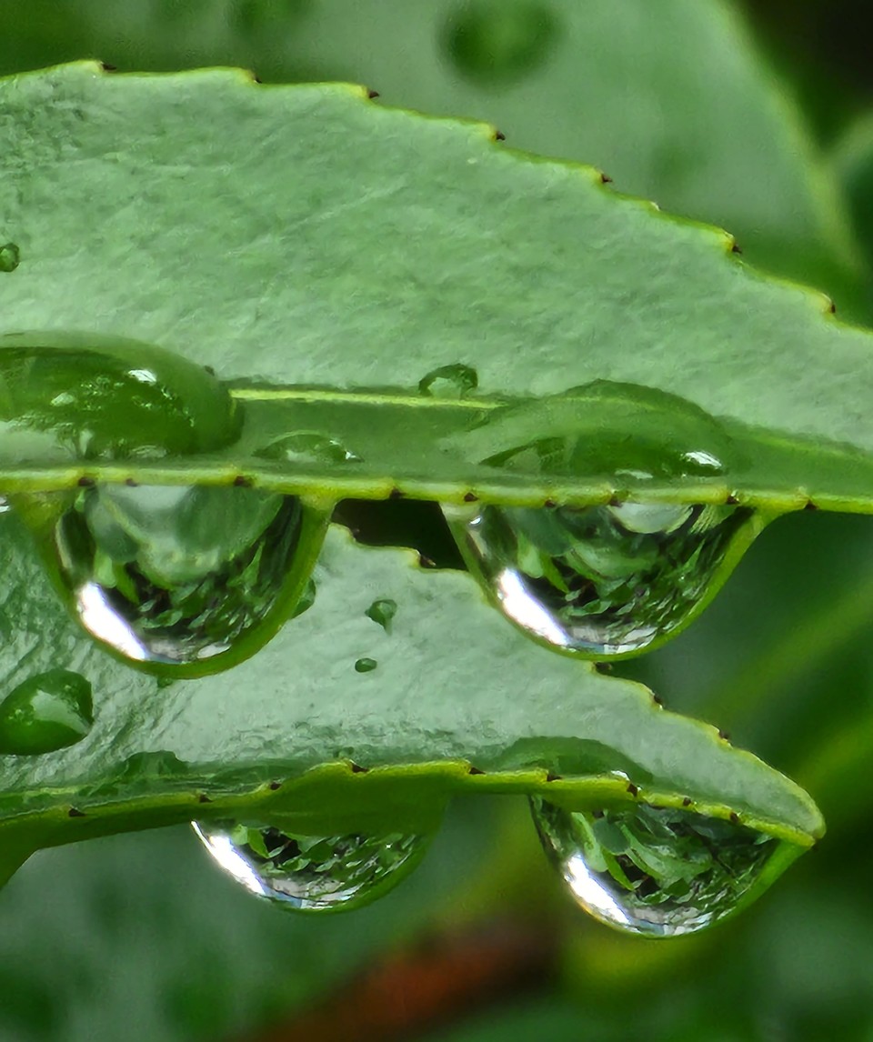 ▲ 너랑 나랑 우리 모두 행복할 수 있어요.