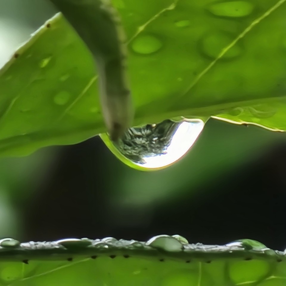 ▲ 맑은 영혼들에게 행복지수 높은 삶을 안내하라.