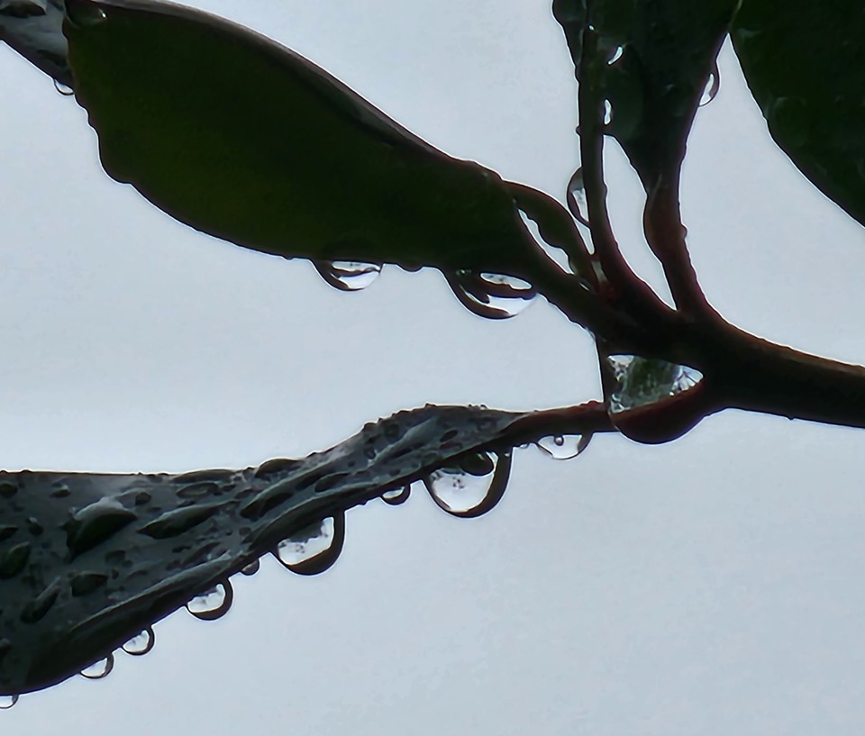 ▲ 나를 넘어 우리까지 함께 하자.