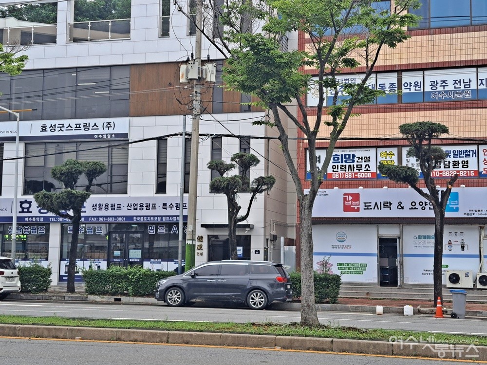 ▲강전정으로 인해 앙상한 히말라야시다 가로수 ⓒ조찬현