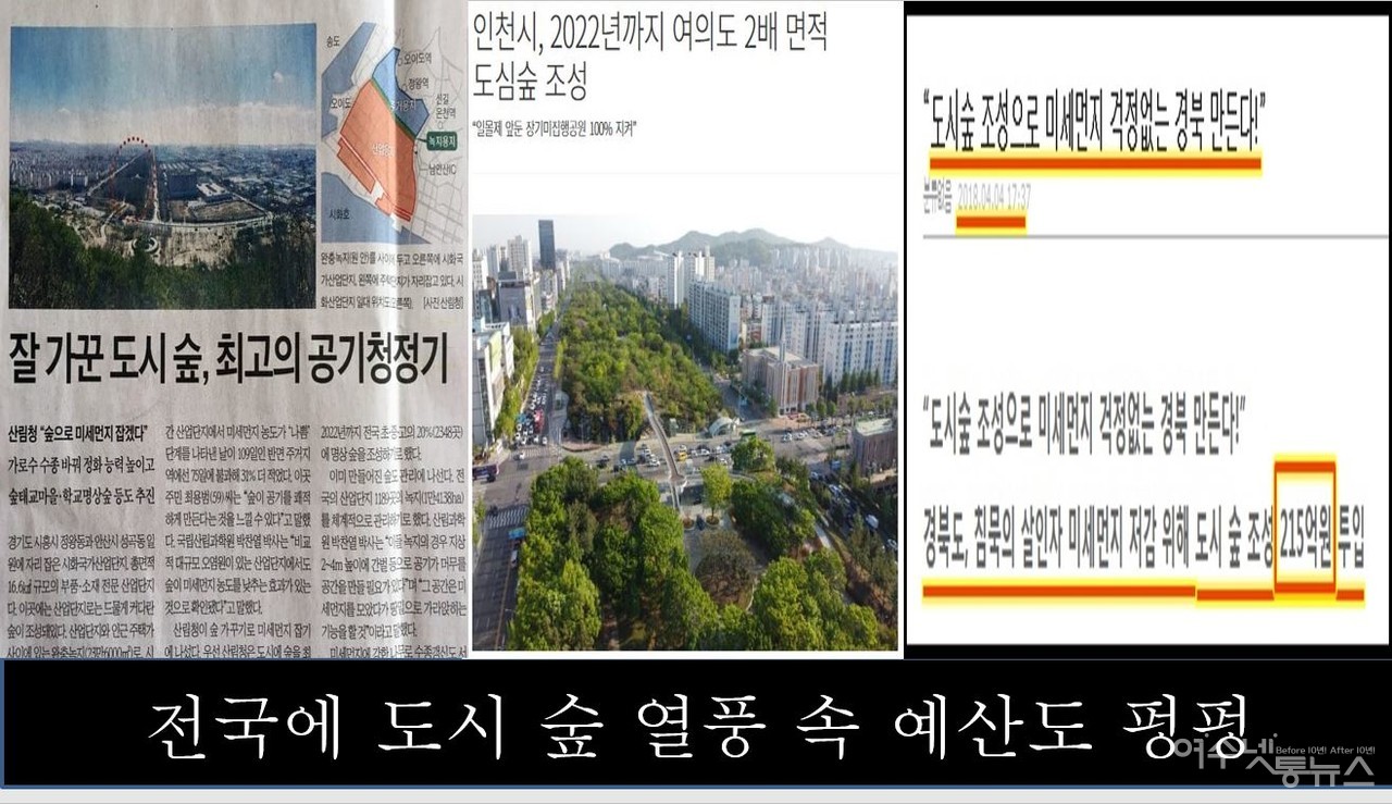 ▲가로수를 심는 주된 목적 ⓒ최병성 제공