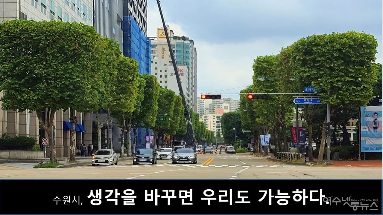 ▲수원시 가로수 전경 ⓒ최병성 제공