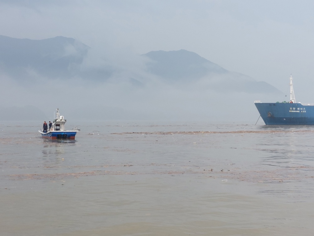 ▲ 여수시 낙포각 앞 해상 폭우로 해상으로 흘러들어온 육상폐기물