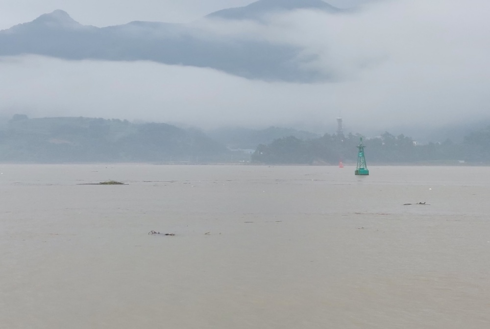 ▲여수 낙포각 앞 해상 폭우로 해상으로 흘러들어온 육상폐기물