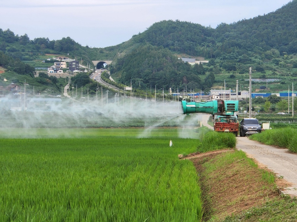 ▲친환경벼 생산단지