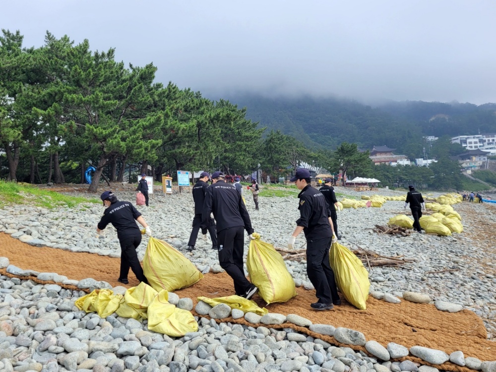 ▲ 무슬목 정화활동