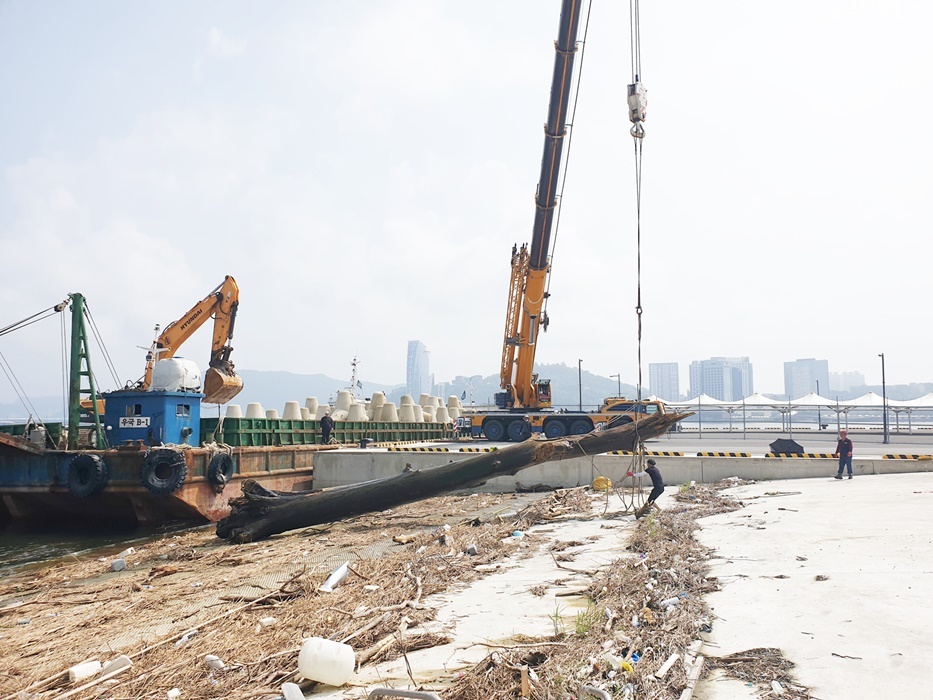 ▲ 여수신항 크루즈부두 선착장 민·관 합동 해양쓰레기 정화활동 모습