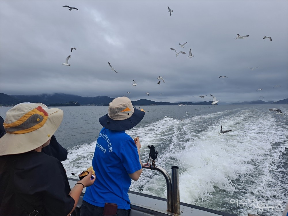 ▲갈매기 배웅받으며 다시 뭍으로. ⓒ조찬현