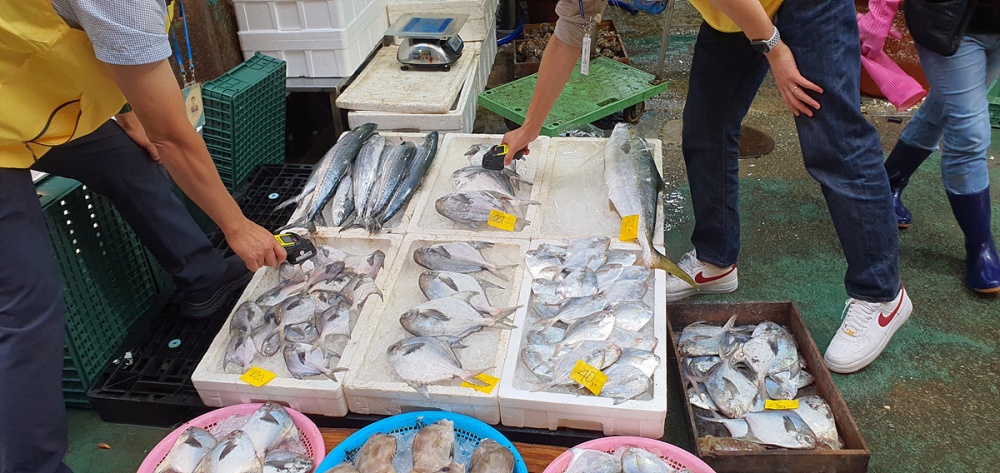 ▲ 수산물 점검