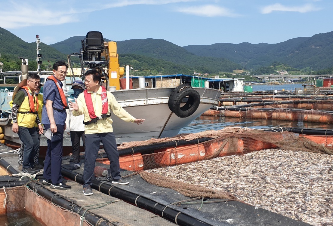 ▲ 돌산 군내리 고수온 피해 현장 점검하는 정기명 시장