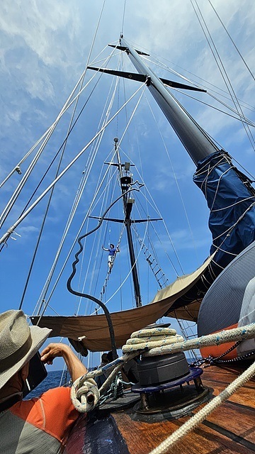 ▲ 30미터짜리 마스트 중간까지 사다리를 타고 올라간 조성아씨 모습. 영화 '캐리비안해적'의 한 장면이 연상됐다ⓒ 오문수