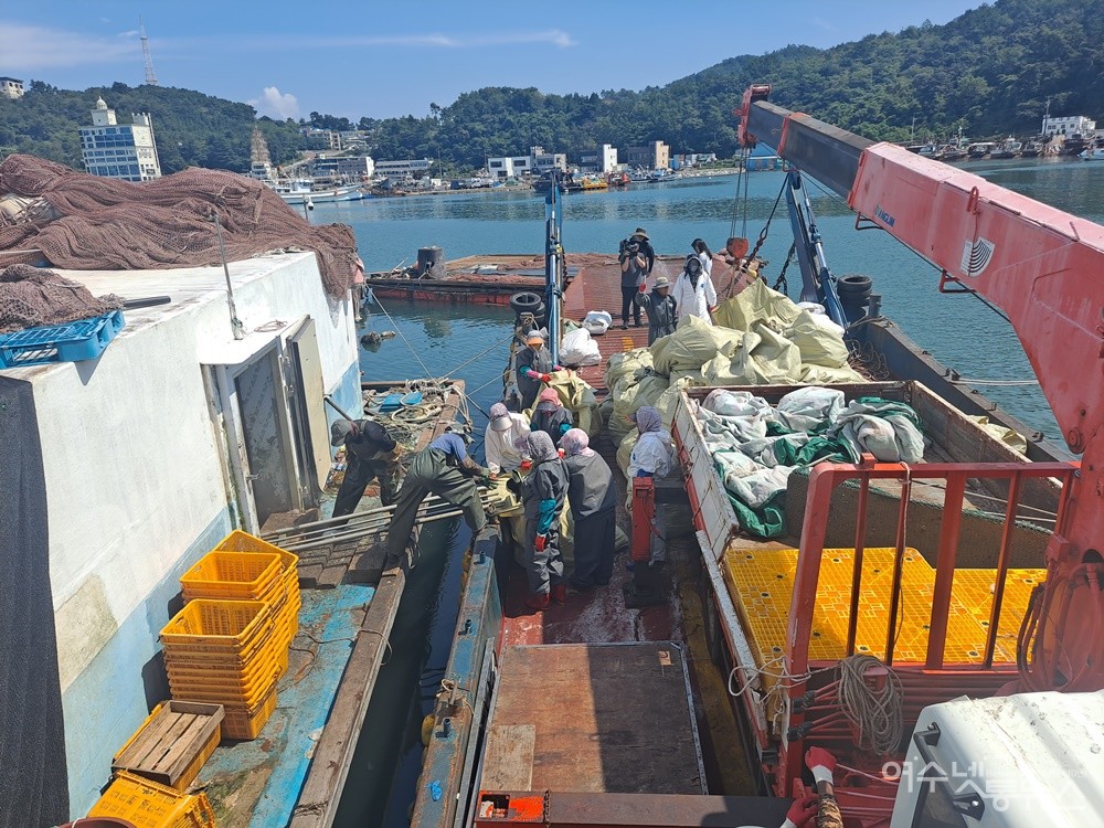 ▲가두리 양식장 냉동창고에 보관 중인 물고기 폐사체를 인부들이 수거선으로 옮겨싣고 있다.  ⓒ조찬현