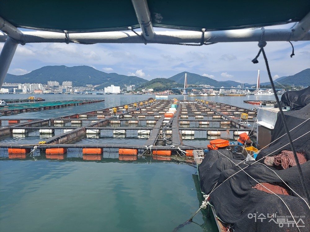 ▲여수 돌산읍 우두리 가두리양식장 전경이다. ⓒ조찬현