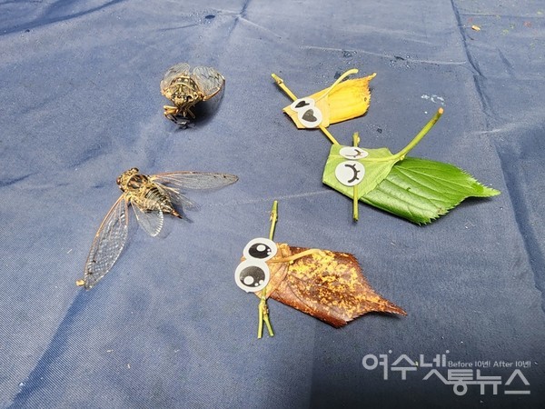▲ 나뭇잎을 이용하여 만든 매미.  ⓒ공문택