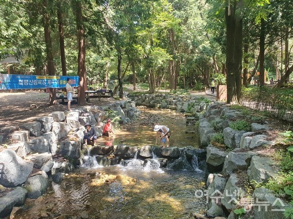 ▲ 미평 저수지 바로 위에 있는 봉화산의 계곡.  ⓒ공문택