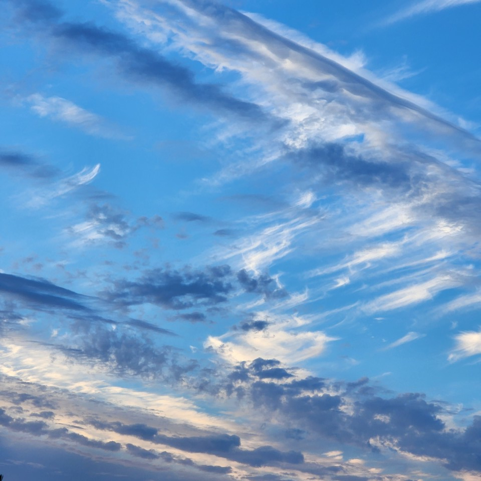 ▲ 영혼이 자유로운 아이만이 삶을 아름답게 채색할 수 있다.