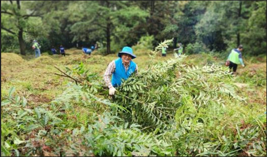▲무연고 묘지 벌초 봉사활동 나선 주종섭 도의원